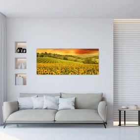 Kép - Napraforgó mező (120x50 cm)