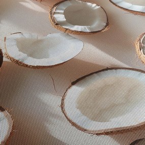 Kép - Kókuszdiók (70x50 cm)
