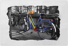 Poszterek 90x60 Őszi levelek