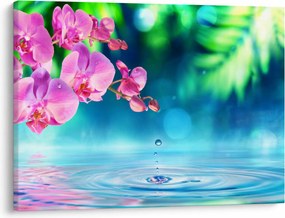 Kép - Orchidea (70x50 cm)