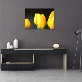 Tulipán képe (70x50 cm)