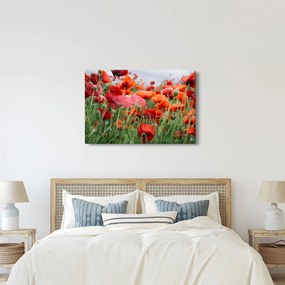 Egy kép a pipacs mezőről (90x60 cm)
