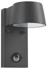 Paulmann 94453 - LED/6W IP44 Kültéri fali lámpa érzékelővel CAPEA 230V