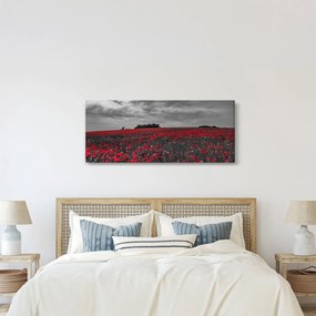 Pipacsos kép (120x50 cm)