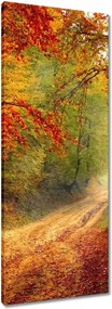 Vászonkép 40x100 Út az erdőben ősz