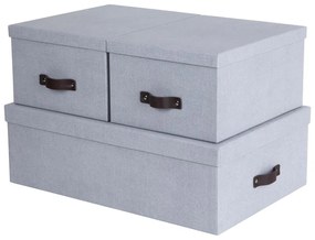 Világosszürke fedeles karton tárolódoboz szett 3 db-os 31x47x15 cm Inge – Bigso Box of Sweden