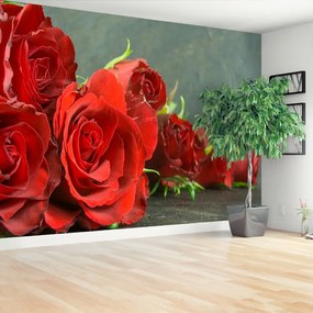 Fotótapéta vörös rózsák 104x70 cm