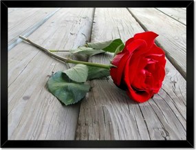 Poszterek keretben 40x30 Rózsa a deszkákon