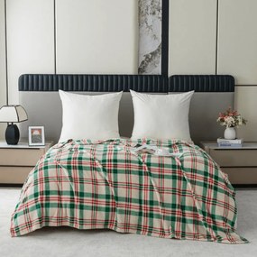 Mikroplüss takaró WINTER PLAID, színes Méret: 200 x 220 cm