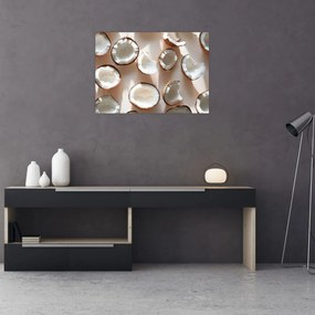 Kép - Kókuszdiók (70x50 cm)