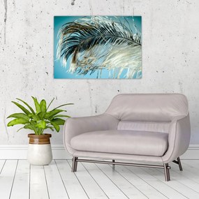 Tollas kép (70x50 cm)