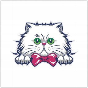 Poszterek 100x100 Cica Cicák