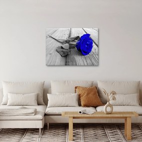 Kép - Kék rózsa (70x50 cm)