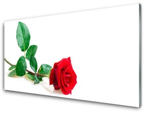 Üvegfotó Rózsa Virág növény természet 100x50 cm