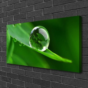 Vászonkép Plant Leaf Water Drops 125x50 cm