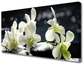 Vászonfotó Virág orchidea növény 100x50 cm