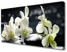 Vászonfotó Virág orchidea növény 140x70 cm