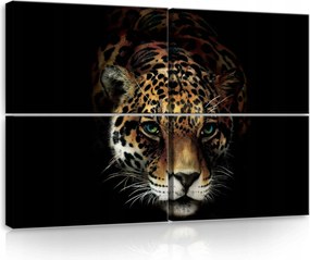Vászonkép 120x80 Jaguar tekintet vad természet ragadozó szem erő kecsesség