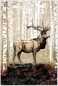 Poszter 60x90 Szarvas Nyírfa Erdő