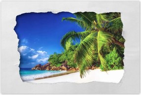 Poszterek 120x80 Trópusok Tájkép Pálmafák