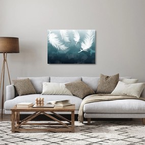 Kép - Fehér toll (üvegen) (70x50 cm)