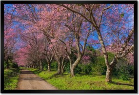 Poszterek keretben 60x40 Virágzó cseresznye