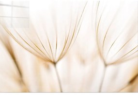 Üveg kép 100x70 cm Fluff – Wallity