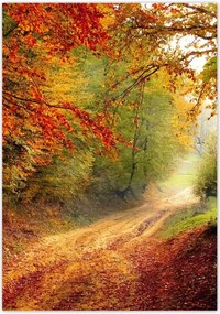 Poszterek 70x100 Út az erdőben ősz