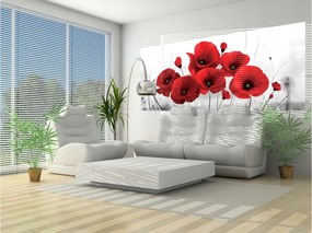 Flizelin fotótapéta Piros pipacsok Absztrakt falikép 250x104 +ragasztó