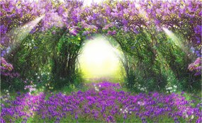 Flizelin fotótapéta Virágos ösvény Provence romantika 200x140 +ragasztó