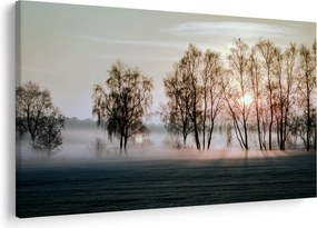 Kép - reggeli szárazság (90x60 cm)