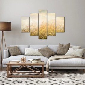 Kép - Mező ősszel (150x105 cm)