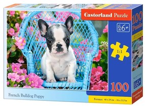 Castorland 100 db-os puzzle - Francia bulldog kölyök