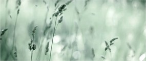 Kép - Zöld rét (120x50 cm)
