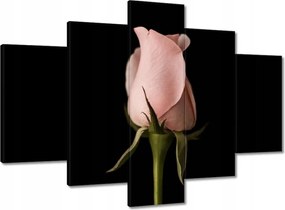 Vászonkép 150x105 Púderrózsaszín rózsa Virág