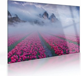 Üveg kép - Tájkép tulipánmezőkkel (70x50 cm)
