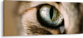 Kép - Macskaszem (120x50 cm)