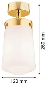 Argon 8005 - Felületre szerelhető csillár PASADENA 1xE27/15W/230V arany/fehér