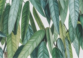 Fali fotótapéta Étkezőbe Természetes levelek 208x146 Ragasztó