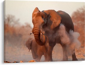 Kép - Nagy afrikai elefánt (70x50 cm)