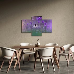 Kép - Pillangó a levendulán (90x60 cm)