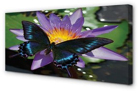 Canvas képek pillangó virág 120x60 cm