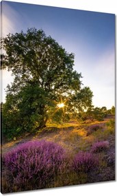 Vászonkép 70x100 Tájkép Látvány