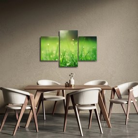 Kép - harmatos fű (90x60 cm)