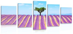 5 részes kép provence-i levandula mező