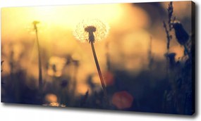 Canvas falikép Pitypang 120x60 cm