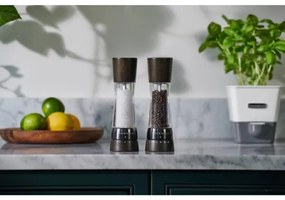 Cole&amp;Mason - Só- és borsdaráló készlet DERWENT 2 db 19 cm bükkfa/fekete