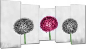 Vászonkép 150x80 Rózsaszín pitypang virág