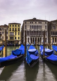 Poszter 21x29,7cm Gondolák a Grand Canale-en parkolva, Assaf Frank