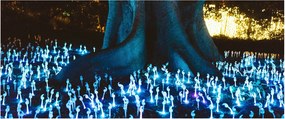 Kép - Varázsfa (120x50 cm)
